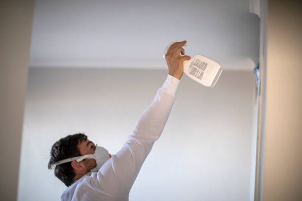 Best Residential Mold Removal  in Lakeland North, WA