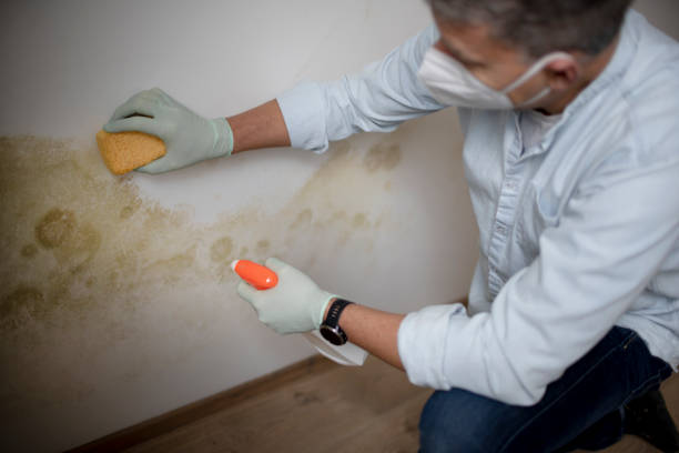 Water Damage Restoration in Lakeland North, WA