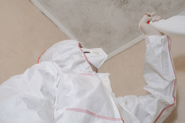 Best Mold Remediation  in Lakeland North, WA